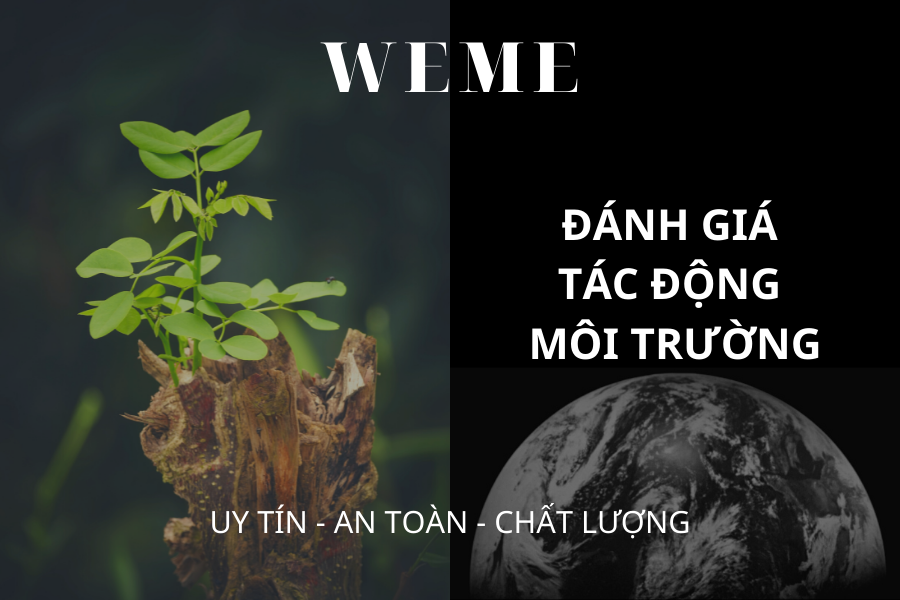 Báo cáo Đánh giá tác động môi trường (ĐTM)